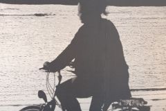 25030406