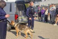IMG-20250320-WA0013