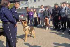 IMG-20250320-WA0015