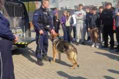 IMG-20250320-WA0017
