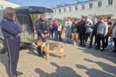 IMG-20250320-WA0018