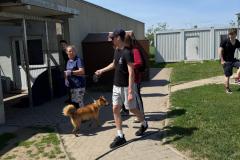 IMG-20260609-WA0005