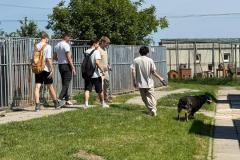 IMG-20260609-WA0008