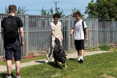 IMG-20260609-WA0009