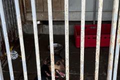 IMG-20260609-WA0010