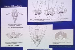 IMG_20241022_135152096