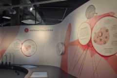 IMG-20241129-WA0008