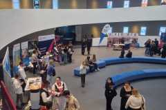 IMG-20241129-WA0017