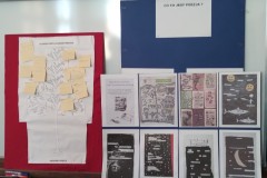 IMG_20250120_131658699