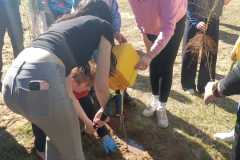 Zdjecie-WhatsApp-2025-04-10-o-11.30.30_230c5780