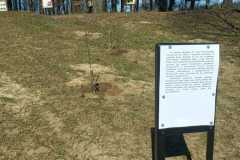 Zdjecie-WhatsApp-2025-04-10-o-11.30.33_f91f53de