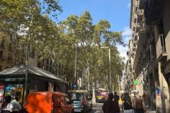 IMG-20260930-WA0027