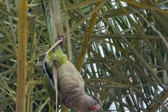 IMG-20260930-WA0050