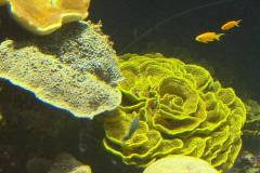 IMG-20260930-WA0059