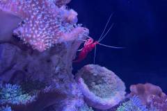 IMG-20260930-WA0060