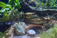 IMG-20260930-WA0061