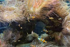 IMG-20260930-WA0062